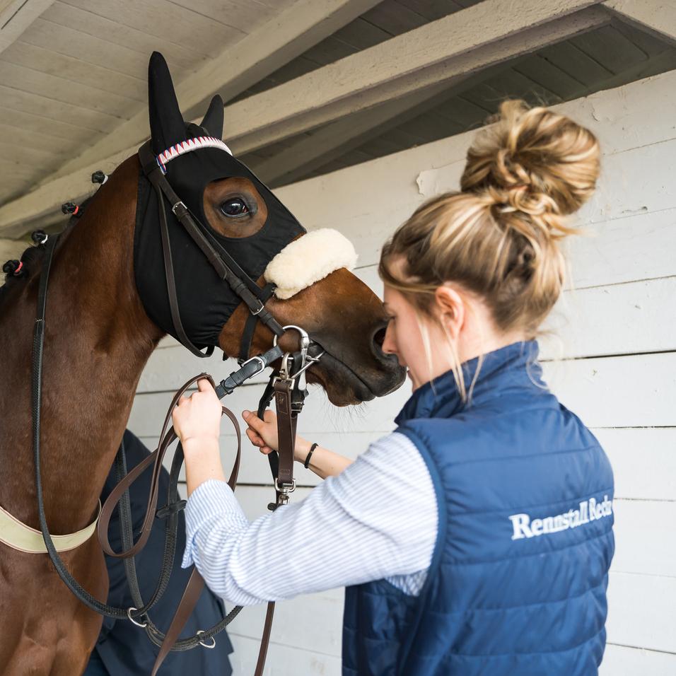Eine Person bereitet ein Pferd mit Reitausrüstung in einem Stall vor.